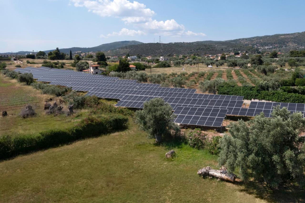 Negroponte Resort Eretria ภายนอก รูปภาพ